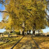 Friedhof Lodersleben  Kathrin Käss